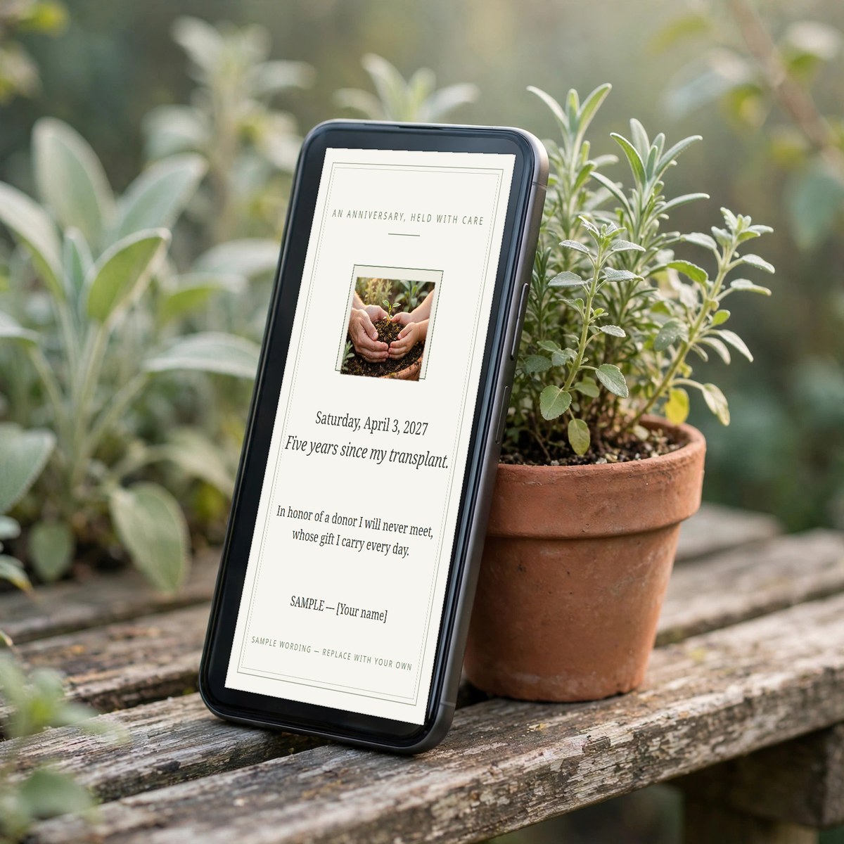 Hand holding a phone showing a quiet transplant anniversary keepsake card with a date and a candlelit table at home behind it, family gathered softly out of focus